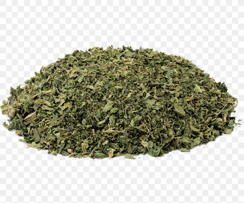 Green Tea Food Drying Herb Peppermint, PNG, 1181x986px, Tea, Aonori, Bancha, Biluochun, Common Sage Download Free