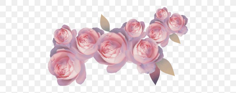 Rose Flower, PNG, 500x324px, Rose, Artificial Flower, Cut Flowers, Editing, Floral Design Download Free