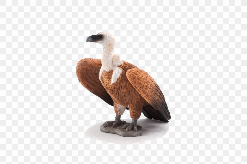 Schleich Griffon Vulture Toy Animal, PNG, 3299x2199px, Vulture, Animal, Animal Figurine, Beak, Bird Download Free