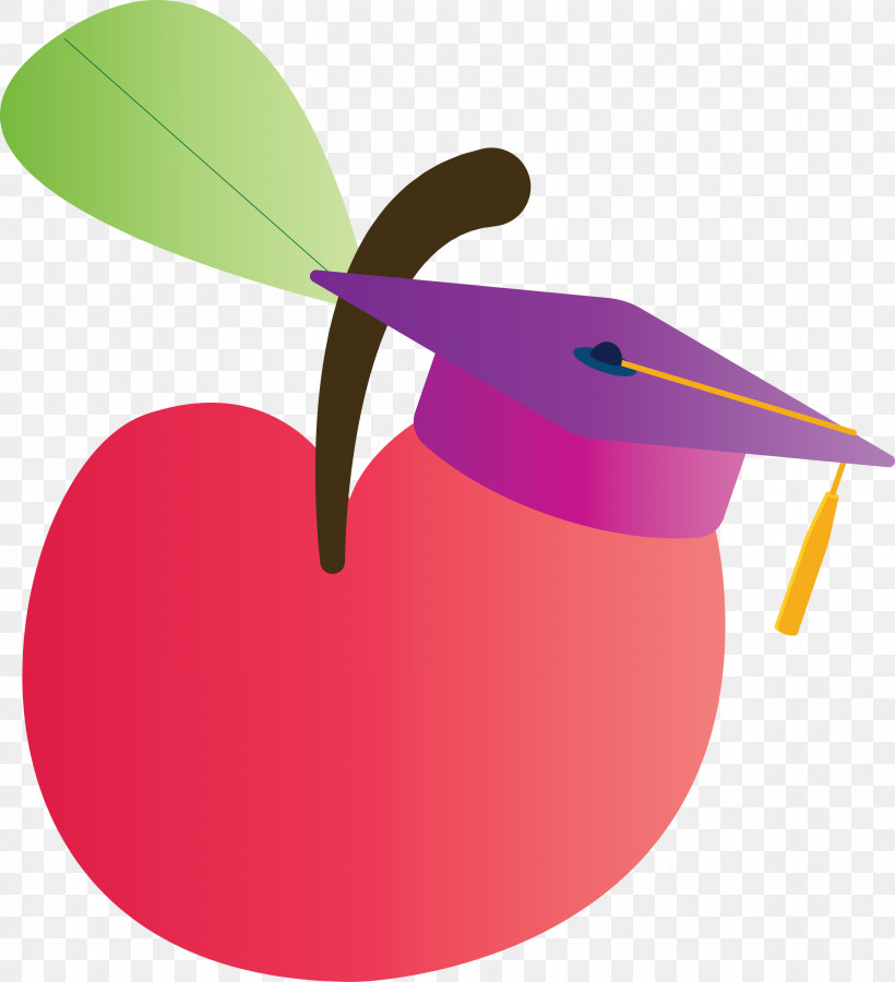 Back To School, PNG, 2731x3000px, Back To School, Apple, Biology, Leaf, Plant Structure Download Free