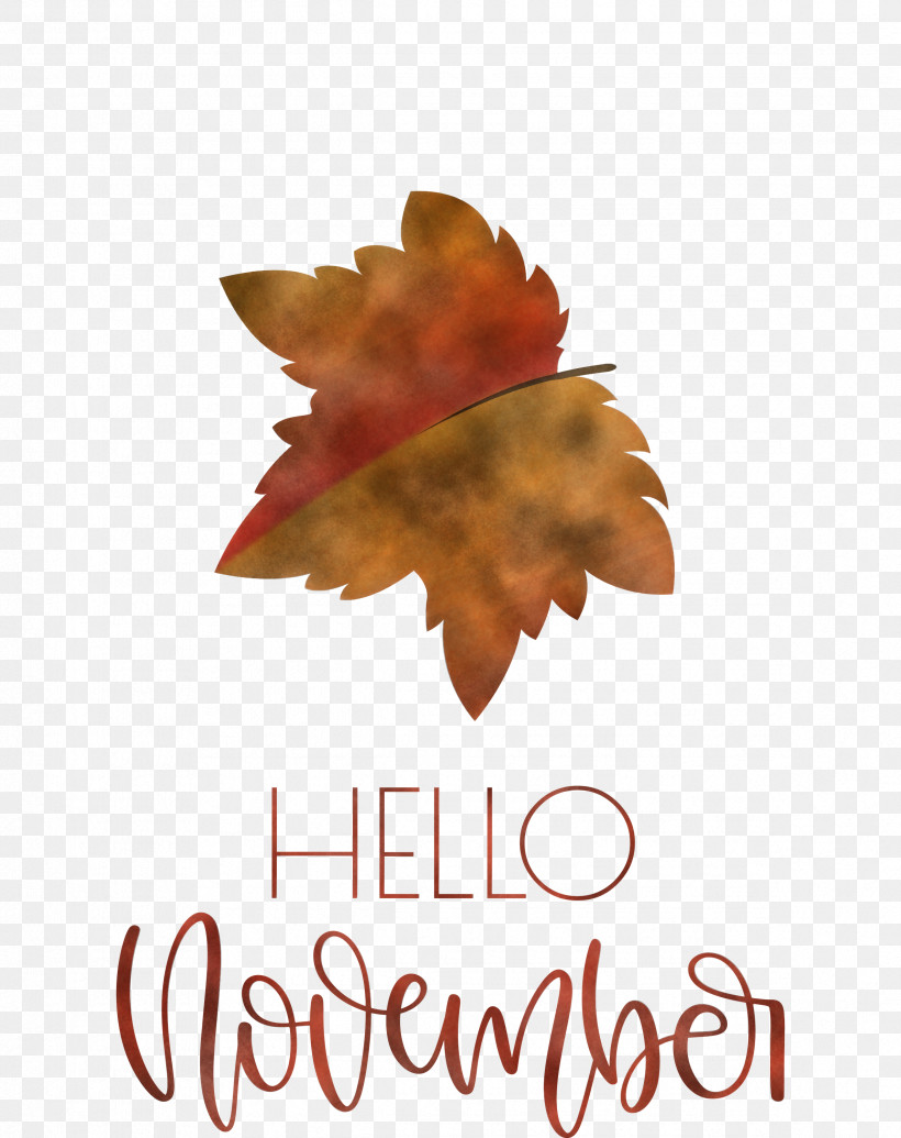 Hello November November, PNG, 2376x3000px, Hello November, Biology, Leaf, Maple Leaf M, Meter Download Free