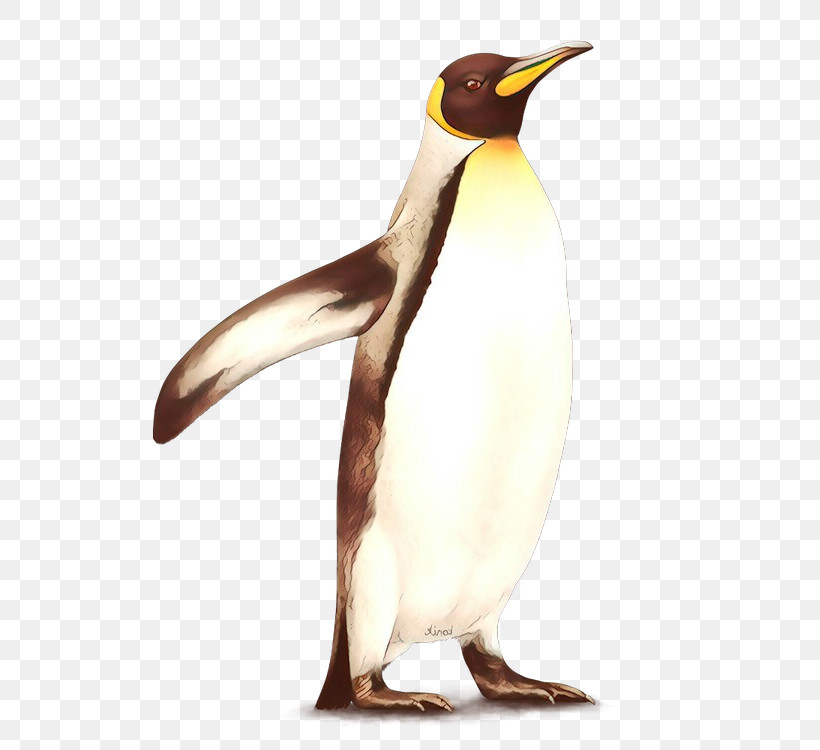 Penguin, PNG, 600x750px, Bird, Beak, Emperor Penguin, Flightless Bird, Gentoo Penguin Download Free