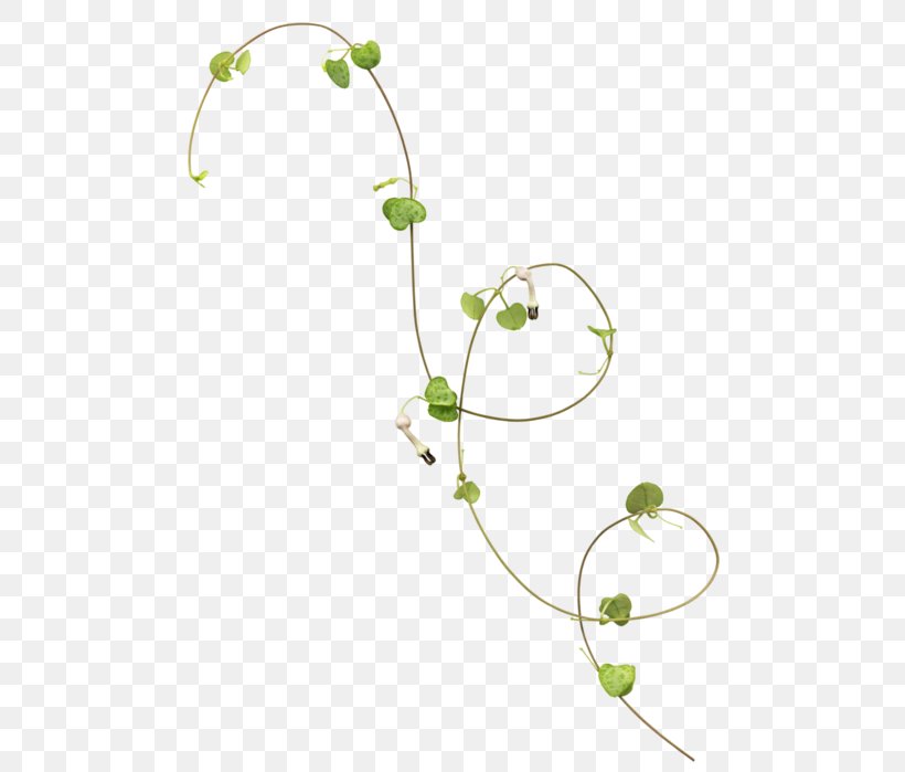 Vine Image Flower Vector Graphics, PNG, 505x699px, Vine, Body Jewelry, Branch, Flora, Floral Design Download Free