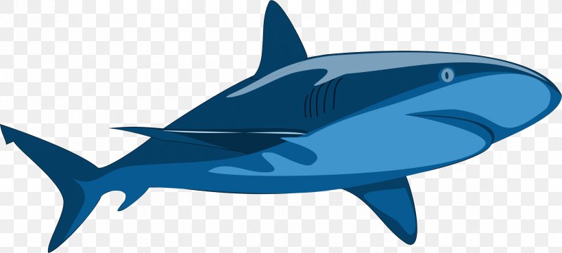 Shark Jaws Clip Art, PNG, 2348x1058px, Shark Jaws, Bull Shark, Cartilaginous Fish, Electric Blue, Fin Download Free