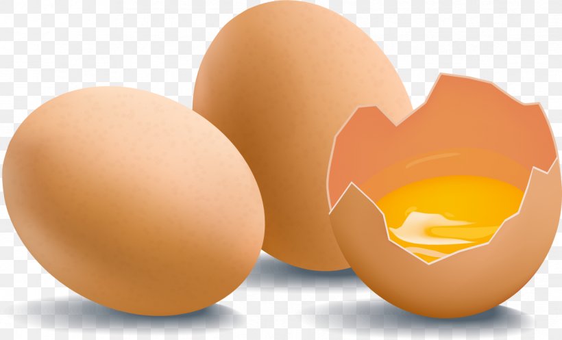 Chicken Egg Yolk Chicken Egg, PNG, 1238x751px, Chicken Egg, Adobe Systems, Button, Computer Software, Designer Download Free