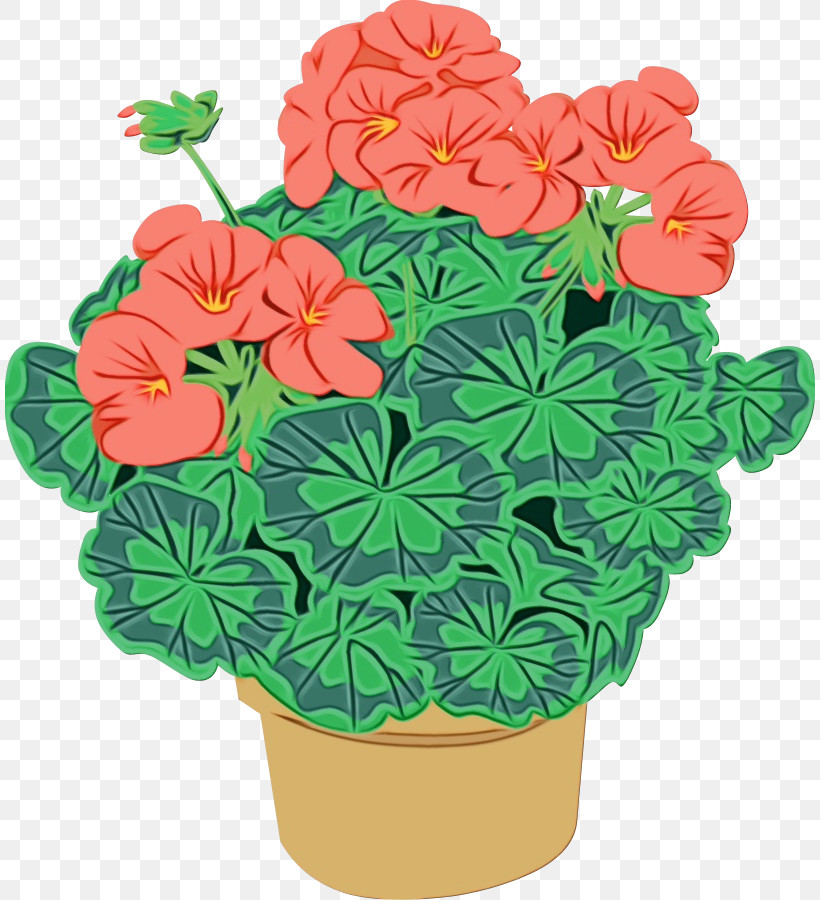 Flower Plant Flowerpot Petal Impatiens, PNG, 810x900px, Watercolor, Flower, Flowerpot, Geranium, Houseplant Download Free