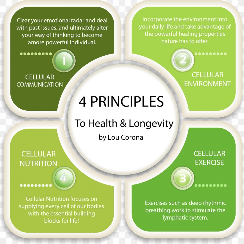 Health Principios De Farmacología Médica Principle Dietary Supplement Nutrition, PNG, 1505x1505px, Health, Alternative Health Services, Brand, Diet, Dietary Supplement Download Free