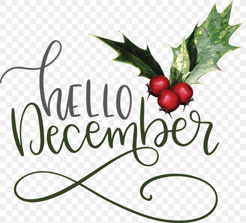 Hello December Winter December, PNG, 3000x2721px, Hello December, Biology, December, Fruit, Grape Download Free
