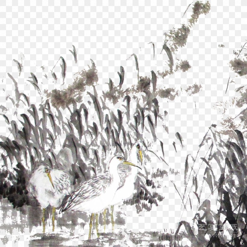 Ink Wash Painting Chinese Painting Gongbi, PNG, 900x900px, Ink Wash Painting, Bird, Branch, Chinese Painting, Common Reed Download Free