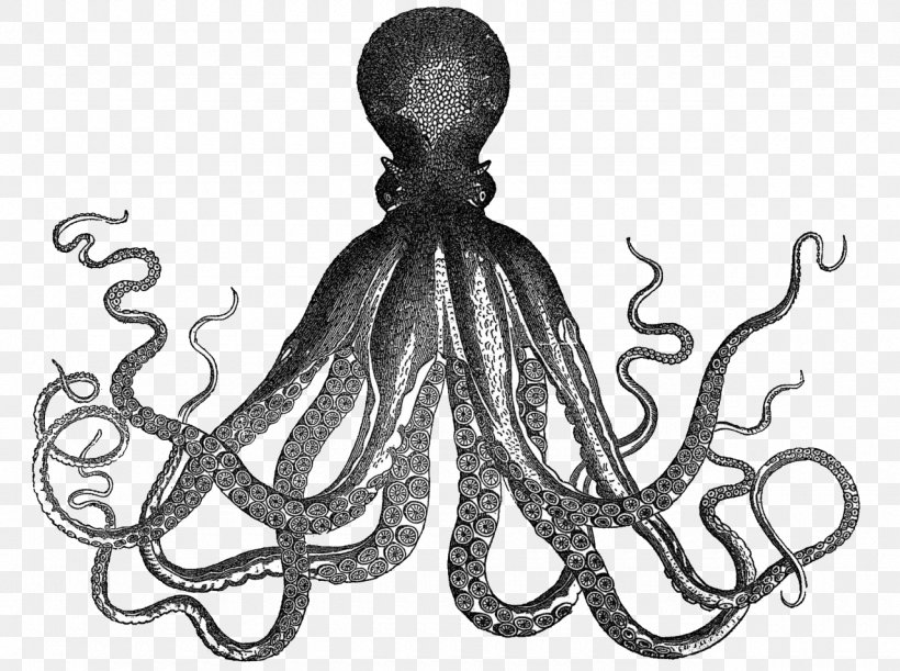 Octopus Kraken Rum Clip Art Drawing, PNG, 1280x954px, Watercolor, Cartoon, Flower, Frame, Heart Download Free