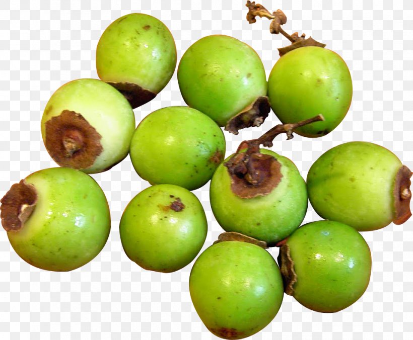 Top-Op Foods Ltd Cluster Fig Vegetable Fruit, PNG, 957x790px, Food, Cluster Fig, Cluster Fig Tree, Fruit, Fruit Tree Download Free
