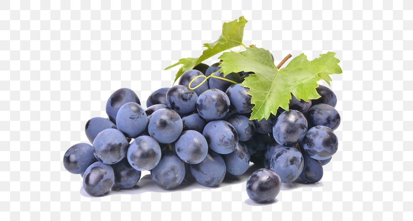 Grape Seed Extract Food Fruit Common Grape Vine, PNG, 658x439px, Wine, Berry, Bilberry, Blueberry, Blueberry Tea Download Free