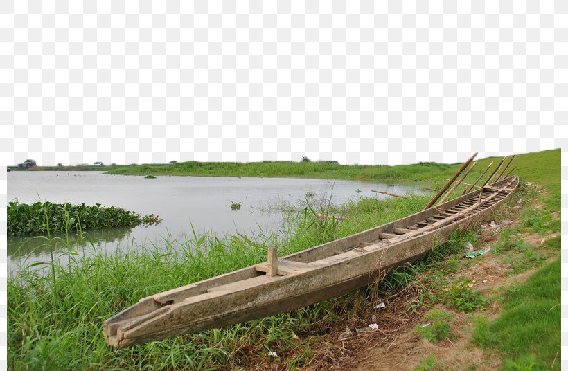 River, PNG, 800x536px, River, Bank, Boat, Grass, Grass Family Download Free