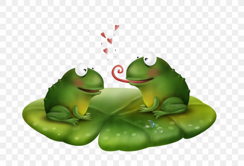 True Frog Edible Frog, PNG, 1024x699px, True Frog, Amphibian, Animal, Animation, Drawing Download Free