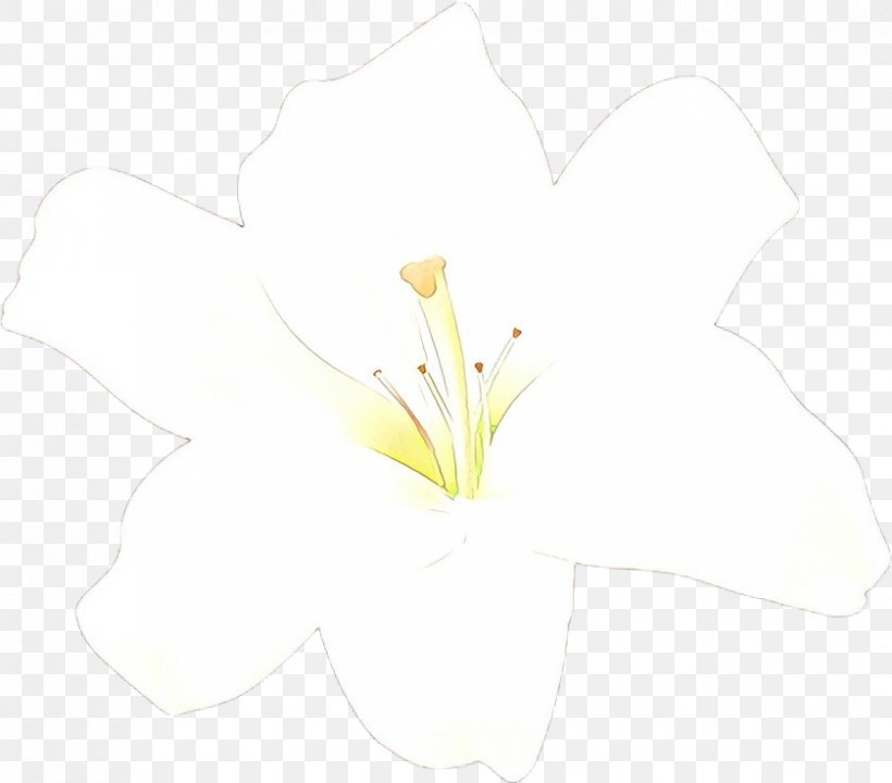 White Flower Yellow Plant Petal, PNG, 839x737px, Cartoon, Arum, Flower, Leaf, Lily Download Free