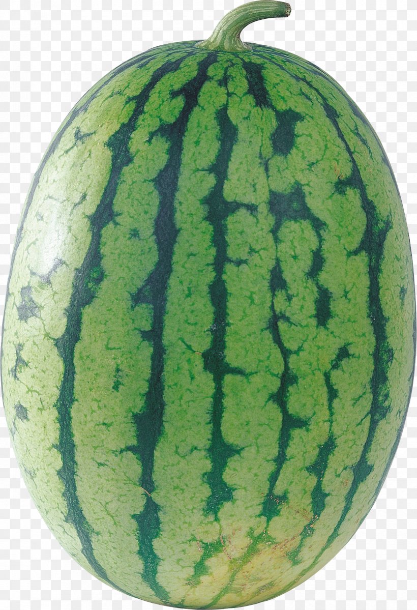 Cantaloupe Watermelon Citrullus Lanatus, PNG, 1684x2464px, Cantaloupe, Auglis, Citrullus, Citrullus Lanatus, Cucumber Gourd And Melon Family Download Free