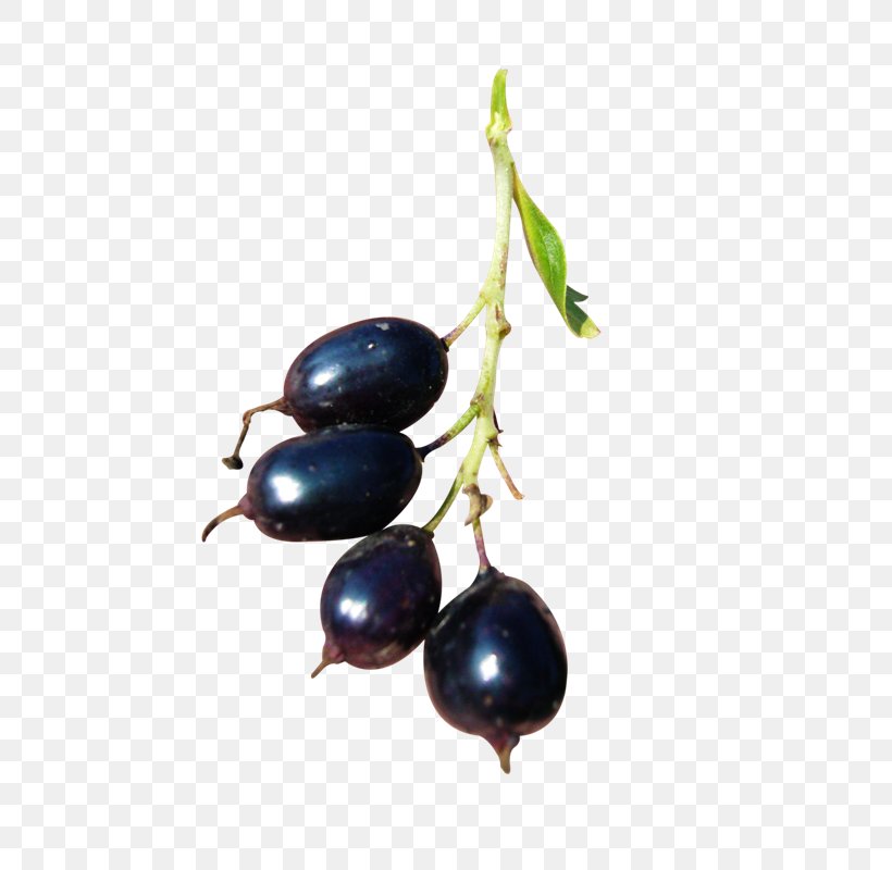 Currant Bilberry Blueberry Fruit, PNG, 640x800px, Currant, Berries, Berry, Bilberry, Blog Download Free