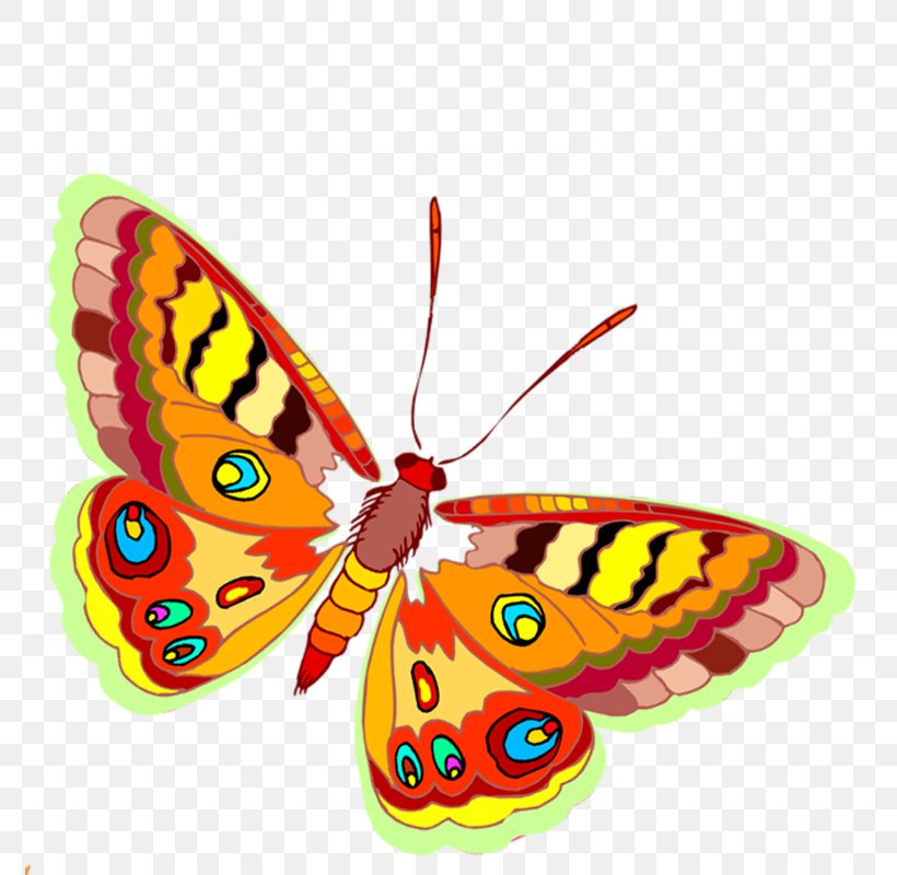 Monarch Butterfly Moth Clip Art, PNG, 773x800px, Monarch Butterfly, Arthropod, Borboleta, Brush Footed Butterfly, Brushfooted Butterflies Download Free