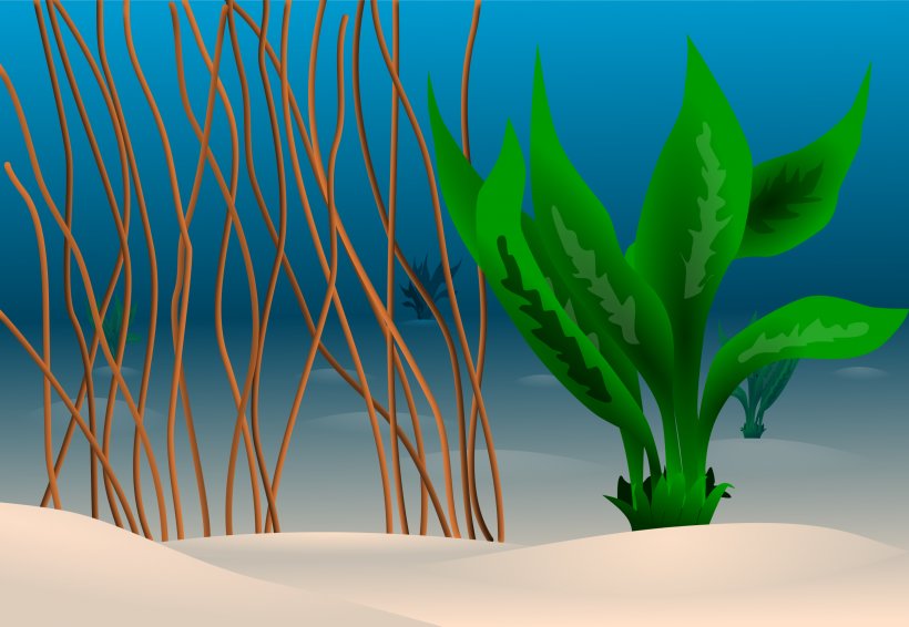 Seabed Ocean Underwater Clip Art, PNG, 2400x1657px, Seabed, Aquarium Decor, Ecosystem, Floor, Flooring Download Free