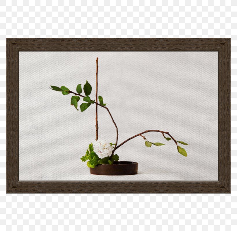 Twig Ikebana Floral Design Plant Stem Picture Frames, PNG, 800x800px, Twig, Branch, Flora, Floral Design, Flower Download Free