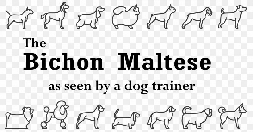 Maltese Dog Bichon Frise Beak Animal, PNG, 1200x626px, Maltese Dog, Animal, Animal Trainer, Area, Beak Download Free