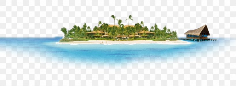 Sandy Beach, PNG, 1503x553px, Sandy Beach, Area, Beach, Brand, Mode Of Transport Download Free