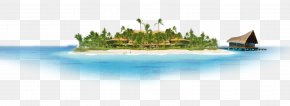 Beach - Sandy Beach PNG