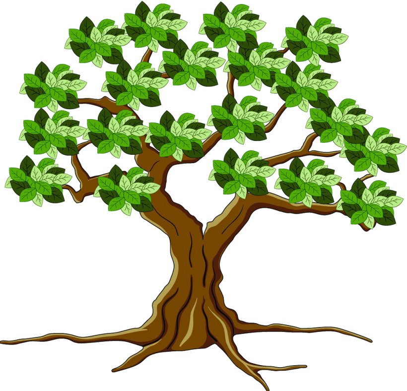Tree Leaf Root, PNG, 1024x985px, Tree, Branch, Cartoon, Comics, Flower  Download Free