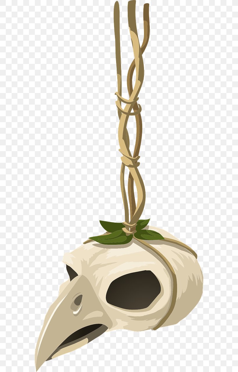 Bird Skull Head, PNG, 640x1280px, Bird, Animaatio, Antler, Beak, Bone Download Free