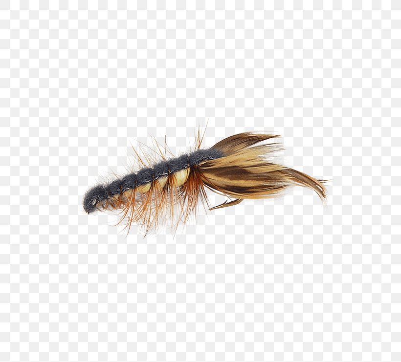 Crayfish Fly Fishing Bass Membrane Insect, PNG, 555x741px, Crayfish, Artificial Fly, Bass, Fishing, Fly Download Free