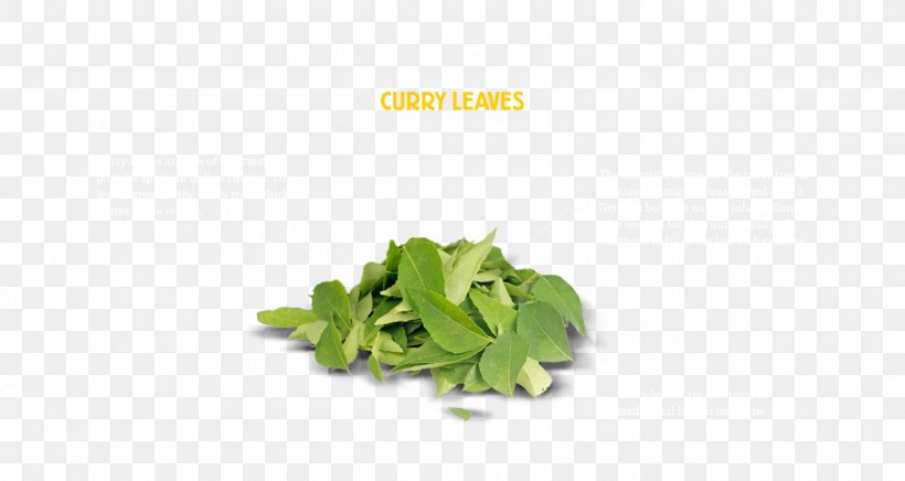 Herb New Curry Leaves Curry Tree Leaf Vegetable, PNG, 1200x639px, Herb, Curry, Curry Tree, Eating, Flushing Download Free