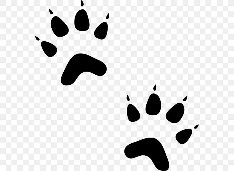 Paw Bear Sphynx Cat Dog Pet Sitting, PNG, 573x600px, Paw, Animal, Animal Track, Bear, Black Download Free