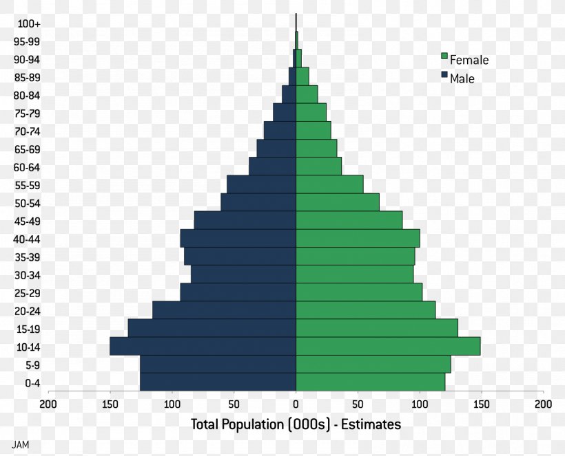 Population Pyramid World Population Human Overpopulation, PNG, 1588x1285px, Population Pyramid, Baby Boom, Christmas Tree, Cone, Demographic Transition Download Free