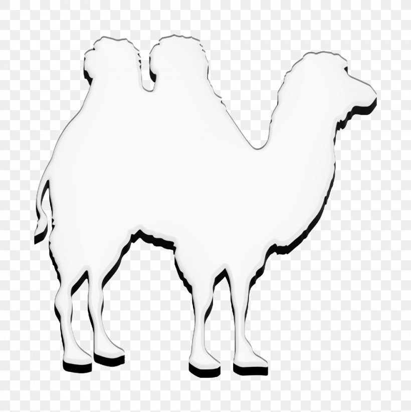 Camel Shape Icon Camel Icon Animals Icon, PNG, 984x988px, Camel Icon, Animal Kingdom Icon, Animals Icon, Biology, Black Download Free