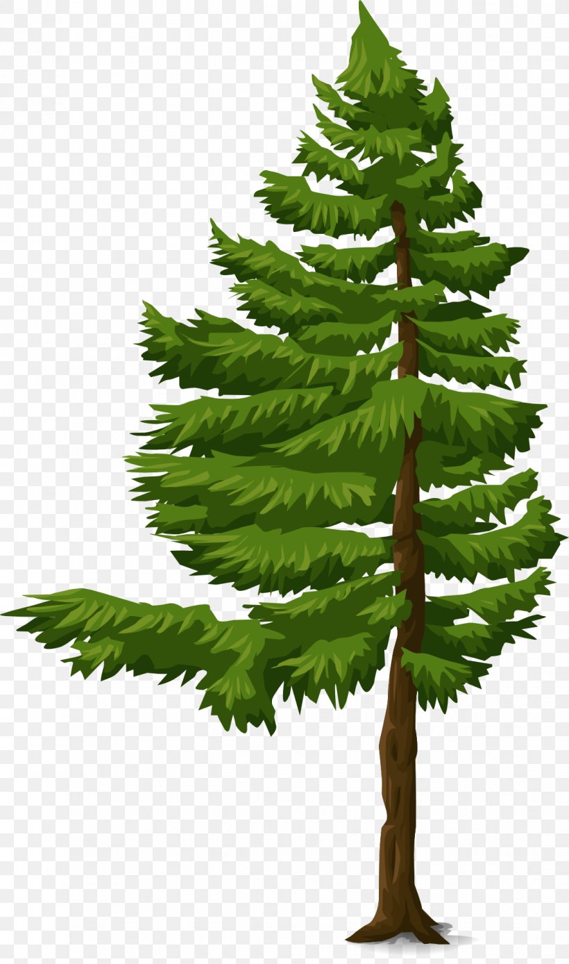 Clip Art, PNG, 1134x1920px, Drawing, Branch, Christmas Tree, Conifer, Evergreen Download Free