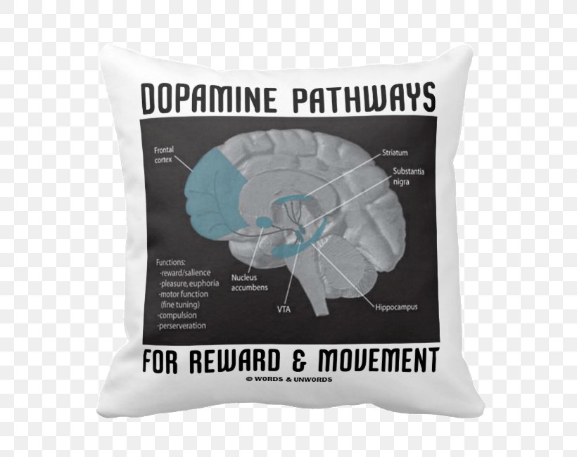Human Brain Dopamine Neuroanatomy Limbic System, PNG, 650x650px, Brain, Addiction, Amygdala, Anorexia Nervosa, Brain Damage Download Free