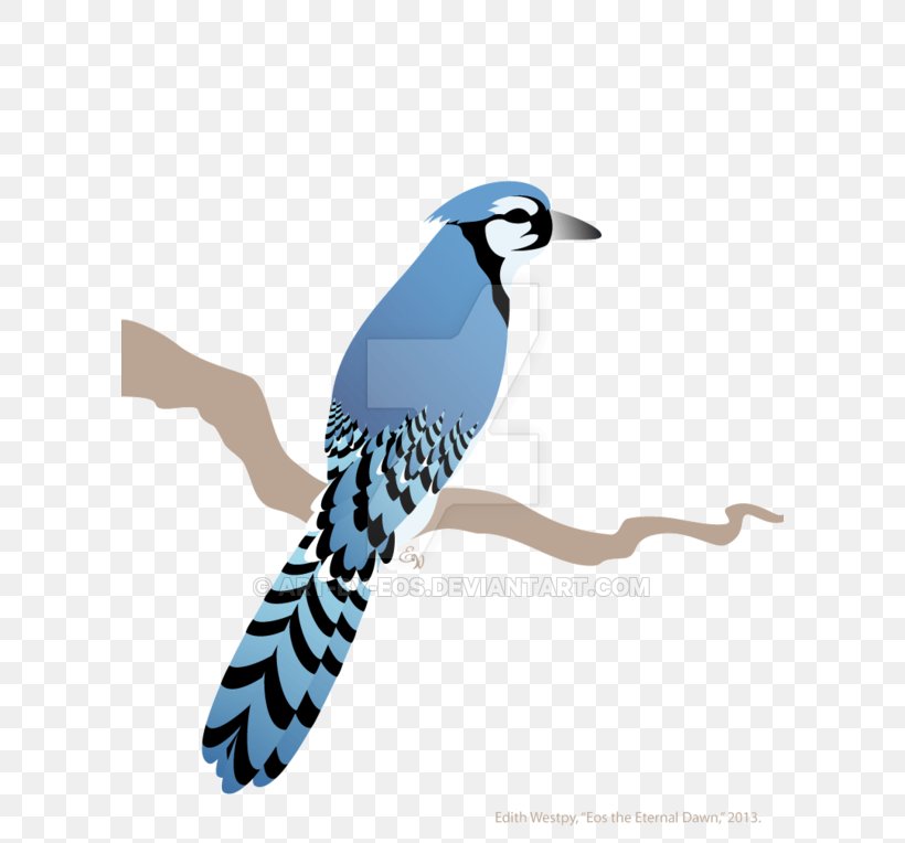 Blue Jay Illustration Beak Feather Cuckoos, PNG, 600x764px, Blue Jay, Beak, Bird, Cuckoos, Feather Download Free