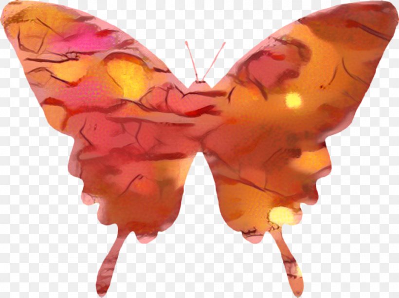Butterfly Cartoon, PNG, 959x716px, Brushfooted Butterflies, Butterfly, Emperor Moths, Insect, M Butterfly Download Free