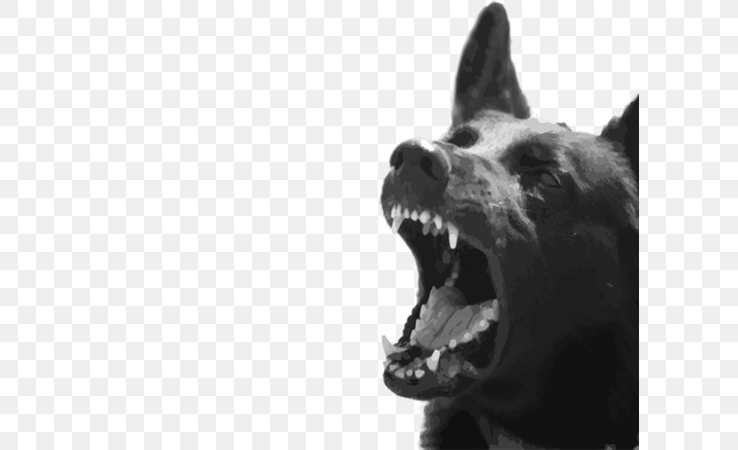 Dog Breed Biting Dog Bite Animal Bite, PNG, 600x500px, Dog Breed, Aggression, Animal, Animal Bite, Biting Download Free