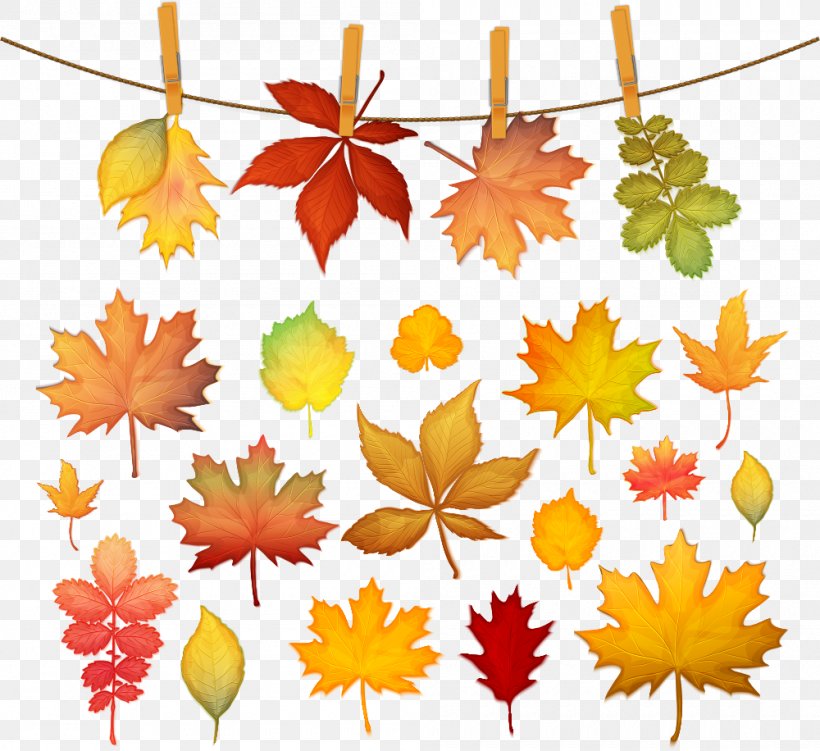 Autumn Leaf Color Maple Leaf, PNG, 1000x916px, Leaf, Autumn, Autumn Leaf Color, Branch, Color Download Free