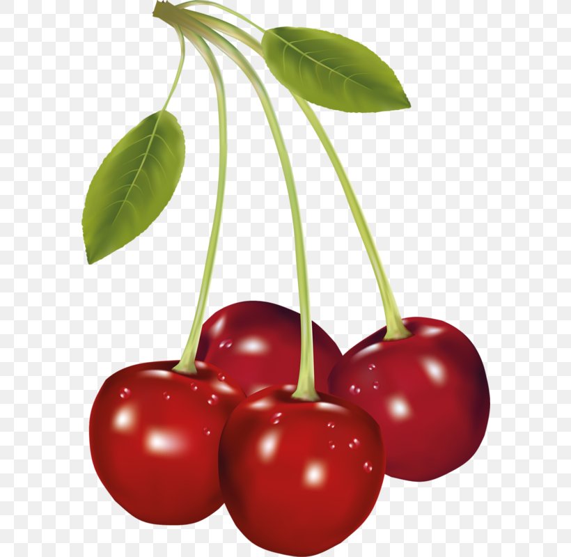 Barbados Cherry Clip Art, PNG, 588x800px, Cherry, Acerola, Acerola Family, Barbados Cherry, Berry Download Free