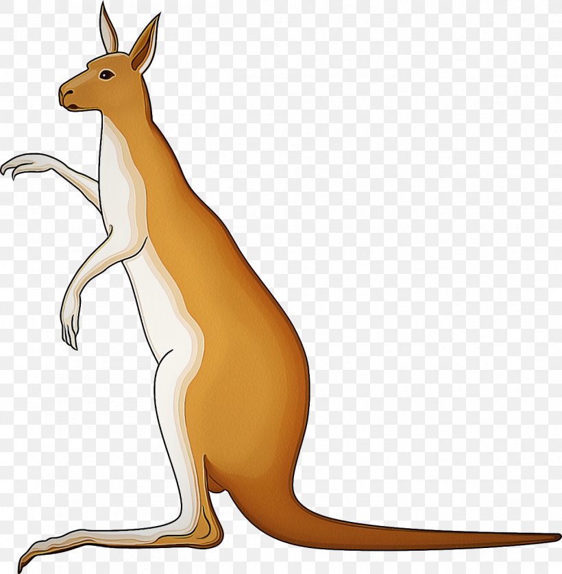 Kangaroo Macropodidae Wallaby Kangaroo Red Kangaroo, PNG, 1252x1280px, Kangaroo, Animal Figure, Macropodidae, Red Kangaroo, Terrestrial Animal Download Free