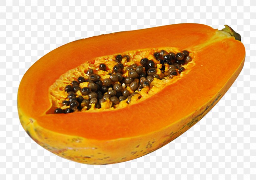 Papaya Protease Eating Apparato Digerente Homocysteine, PNG, 840x593px, Papaya, Amino Acid, Apparato Digerente, Digestion, Eating Download Free