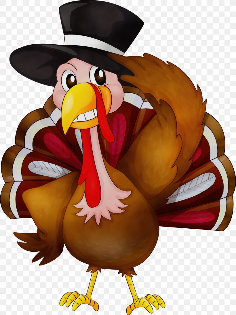 Thanksgiving Turkey Logo, PNG, 2248x3000px, Watercolor, Animation, Bird,  Cartoon, Chicken Download Free