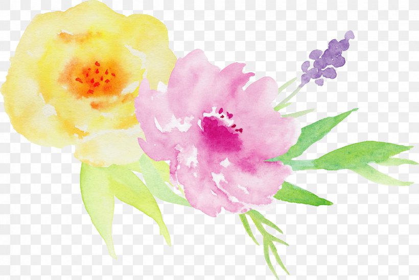Watercolor Painting Illustration, PNG, 2054x1377px, Flower, Blossom, Cut Flowers, Flora, Floral Design Download Free