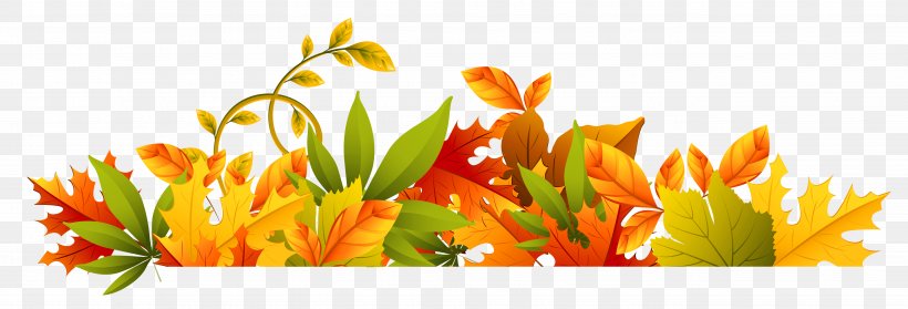 Autumn Computer File, PNG, 5264x1796px, Autumn, Autumn Leaf Color, Cut Flowers, Floral Design, Floristry Download Free