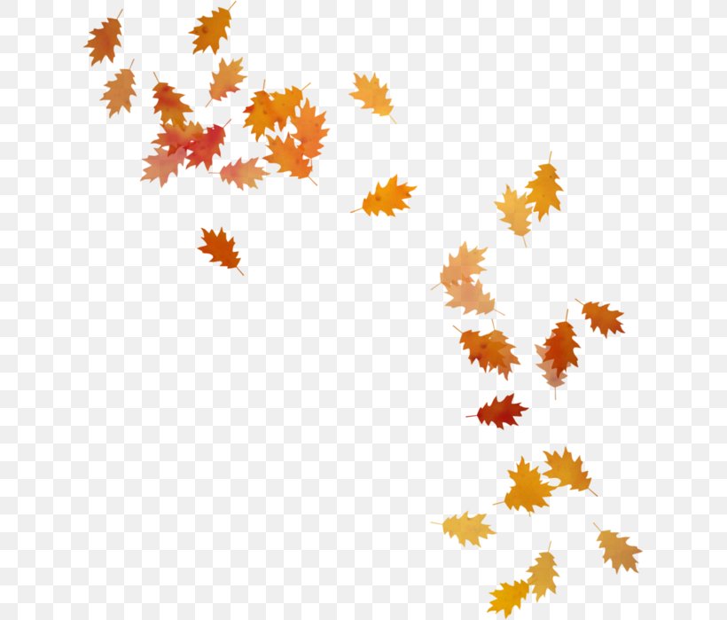 Autumn Leaves Leaf, PNG, 633x699px, Autumn Leaves, Autumn, Branch, Flower, Flowering Plant Download Free