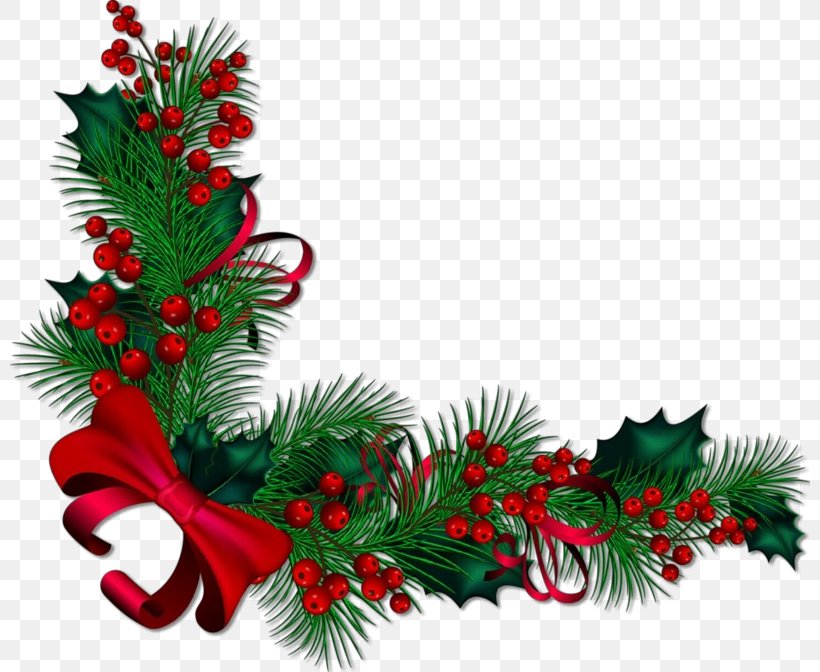 Christmas Decoration, PNG, 800x672px, Cartoon, Christmas, Christmas Decoration, Christmas Eve, Colorado Spruce Download Free