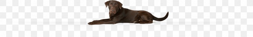 Dog Fur Tablet /m/083vt Wood, PNG, 1436x211px, Dog, Bayer, Bayer Corporation, Black, Black M Download Free