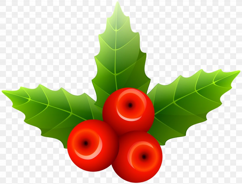 Mistletoe Christmas Clip Art, PNG, 8000x6076px, Santa Claus, Aquifoliaceae, Christmas, Christmas Decoration, Common Holly Download Free